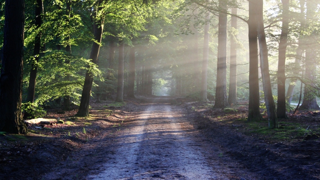 road-sun-rays-path